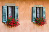 depositphotos_37573835-Vintage-windows-with-open-wooden-shutters-and-fresh-flowers